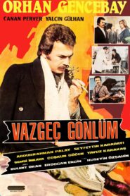 Vazgeç Gönlüm izle