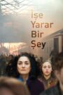 İşe Yarar Bir Şey izle